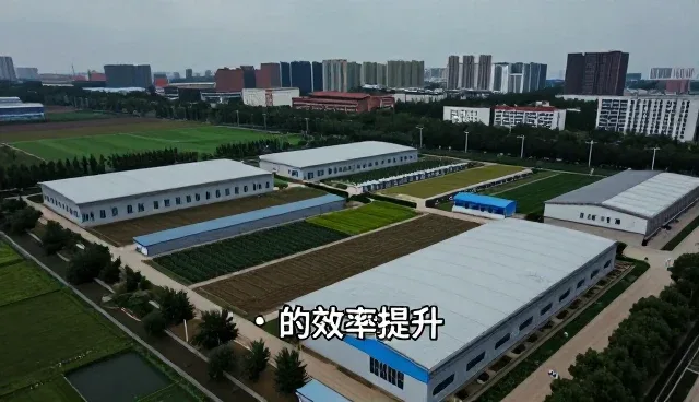 商务配套服务选型中效率提升的关键考量
